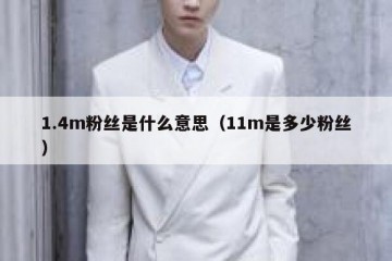 1.4m粉丝是什么意思（11m是多少粉丝）
