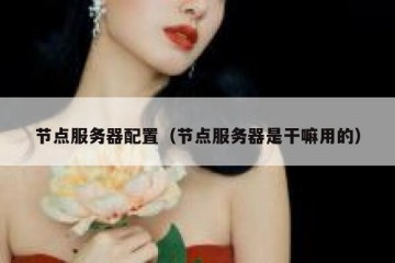 节点服务器配置（节点服务器是干嘛用的）