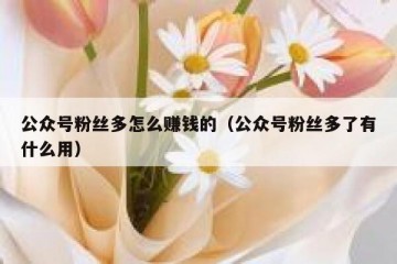 公众号粉丝多怎么赚钱的（公众号粉丝多了有什么用）
