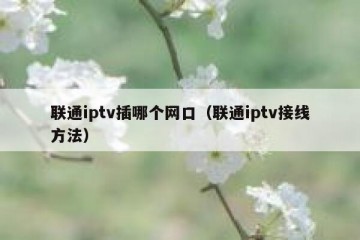 联通iptv插哪个网口（联通iptv接线方法）