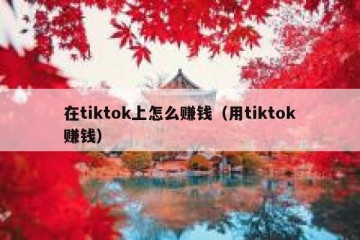 在tiktok上怎么赚钱（用tiktok赚钱）
