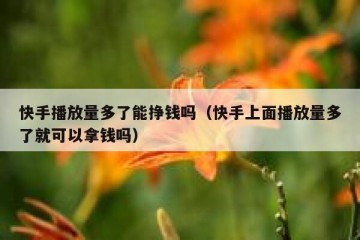 快手播放量多了能挣钱吗（快手上面播放量多了就可以拿钱吗）