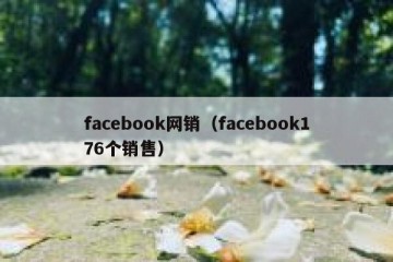 facebook网销（facebook176个销售）