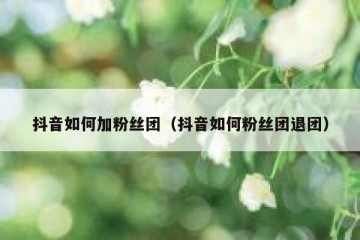 抖音如何加粉丝团（抖音如何粉丝团退团）