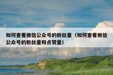 如何查看微信公众号的粉丝量（如何查看微信公众号的粉丝量和点赞量）