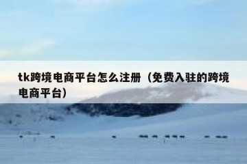 tk跨境电商平台怎么注册（免费入驻的跨境电商平台）