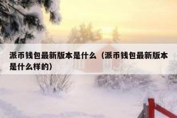 派币钱包最新版本是什么（派币钱包最新版本是什么样的）
