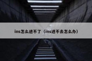 ins怎么进不了（ins进不去怎么办）