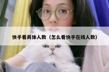 快手看具体人数（怎么看快手在线人数）