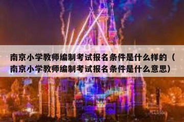 南京小学教师编制考试报名条件是什么样的（南京小学教师编制考试报名条件是什么意思）