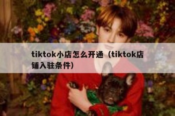 tiktok小店怎么开通（tiktok店铺入驻条件）
