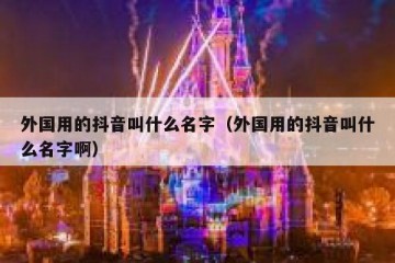 外国用的抖音叫什么名字（外国用的抖音叫什么名字啊）