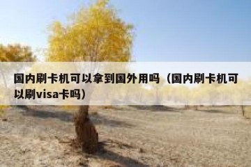 国内刷卡机可以拿到国外用吗（国内刷卡机可以刷visa卡吗）