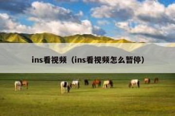 ins看视频（ins看视频怎么暂停）
