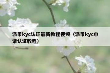 派币kyc认证最新教程视频（派币kyc申请认证教程）