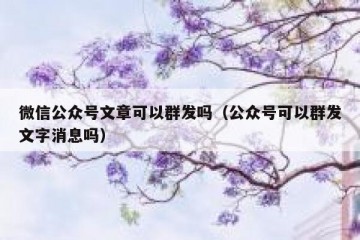 微信公众号文章可以群发吗（公众号可以群发文字消息吗）