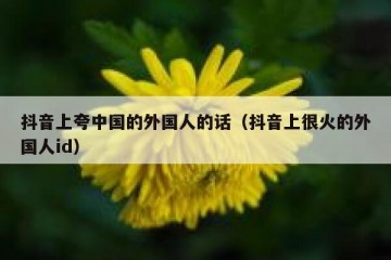 抖音上夸中国的外国人的话（抖音上很火的外国人id）