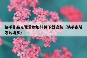 快手作品点赞量增加软件下载安装（快手点赞怎么增多）
