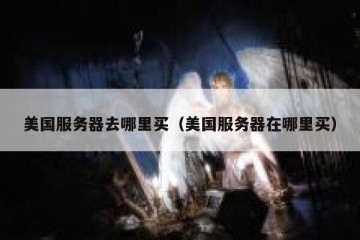 美国服务器去哪里买（美国服务器在哪里买）