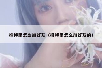 推特里怎么加好友（推特里怎么加好友的）