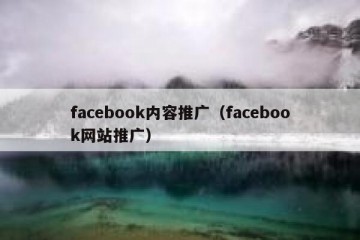 facebook内容推广（facebook网站推广）