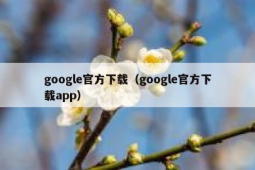 google官方下载（google官方下载app）