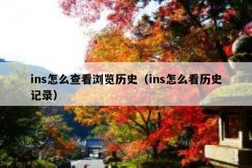 ins怎么查看浏览历史（ins怎么看历史记录）
