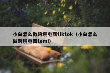 小白怎么做跨境电商tiktok（小白怎么做跨境电商temi）