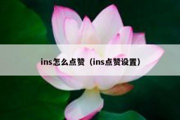 ins怎么点赞（ins点赞设置）