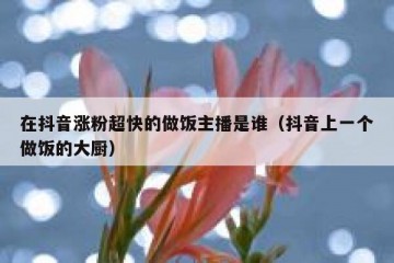 在抖音涨粉超快的做饭主播是谁（抖音上一个做饭的大厨）