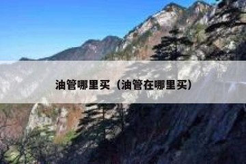 油管哪里买（油管在哪里买）
