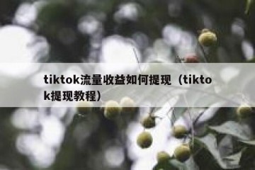 tiktok流量收益如何提现（tiktok提现教程）