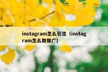instagram怎么引流（instagram怎么做推广）