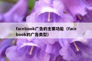 facebook广告的主要功能（facebook的广告类型）