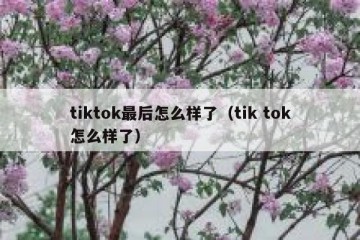 tiktok最后怎么样了（tik tok怎么样了）
