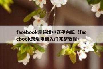 facebook是跨境电商平台嘛（facebook跨境电商入门完整教程）