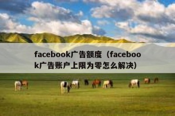 facebook广告额度（facebook广告账户上限为零怎么解决）