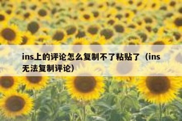 ins上的评论怎么复制不了粘贴了（ins无法复制评论）
