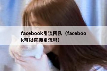 facebook引流团队（facebook可以直接引流吗）