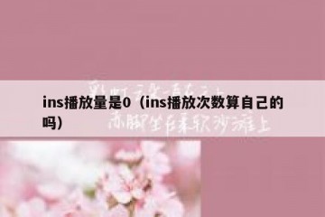 ins播放量是0（ins播放次数算自己的吗）