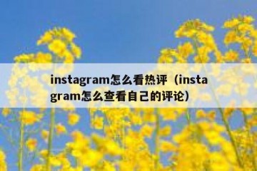 instagram怎么看热评（instagram怎么查看自己的评论）