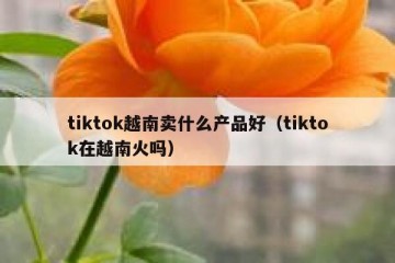 tiktok越南卖什么产品好（tiktok在越南火吗）