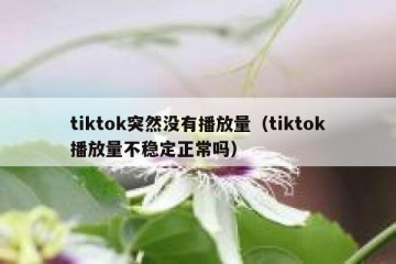 tiktok突然没有播放量（tiktok播放量不稳定正常吗）