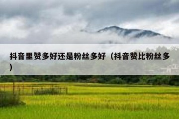 抖音里赞多好还是粉丝多好（抖音赞比粉丝多）