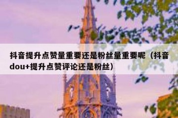 抖音提升点赞量重要还是粉丝量重要呢（抖音dou+提升点赞评论还是粉丝）