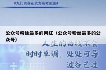 公众号粉丝最多的网红（公众号粉丝最多的公众号）