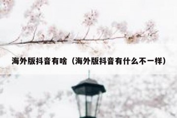 海外版抖音有啥（海外版抖音有什么不一样）