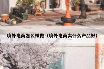 境外电商怎么样做（境外电商卖什么产品好）
