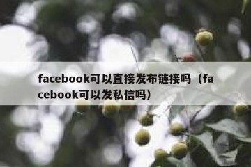 facebook可以直接发布链接吗（facebook可以发私信吗）