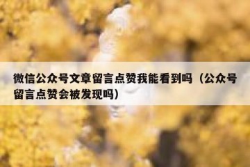 微信公众号文章留言点赞我能看到吗（公众号留言点赞会被发现吗）